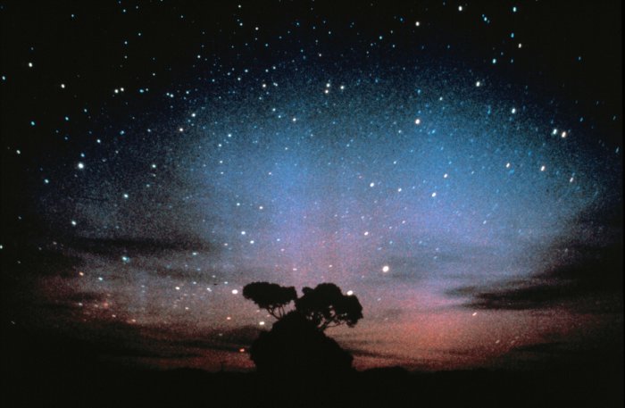 night sky wallpaper. in our night sky above our